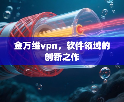 金万维vpn，软件领域的创新之作