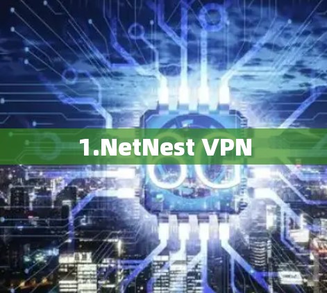 1.NetNest VPN