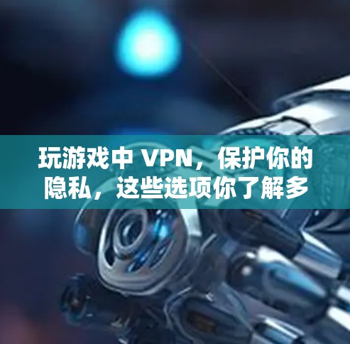 玩游戏中 VPN,保护你的隐私,这些选项你了解多少?