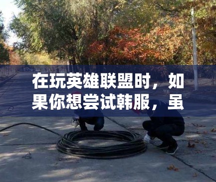 在玩英雄联盟时,如果你想尝试韩服,虽然VPN可能是一个直观的选择,但也有其他更安全和方便的方式。以下是详细的步骤和建议