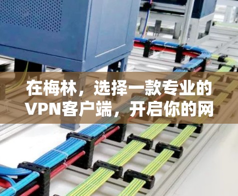 在梅林，选择一款专业的VPN客户端，开启你的网络之旅