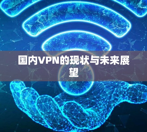 国内VPN的现状与未来展望 国内VPN的现状与未来展望