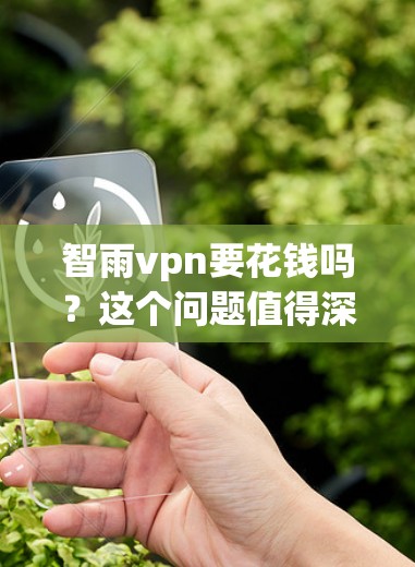 智雨vpn要花钱吗?这个问题值得深入思考 智雨vpn要花钱吗?这个问题值得深入思考