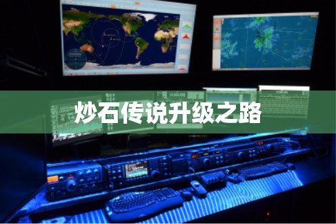 炒石传说升级之路