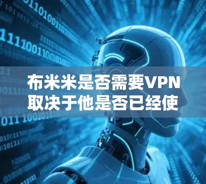 布米米是否需要VPN取决于他是否已经使用VPN，或者他是否需要访问特定的网络服务。以下是详细的分析
