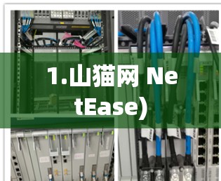 1.山猫网 NetEase)