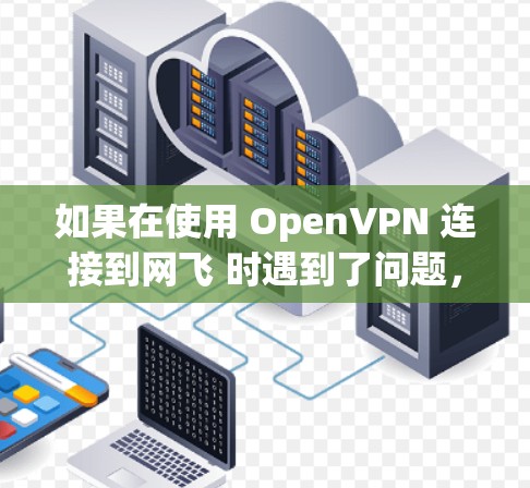 如果在使用 OpenVPN 连接到网飞 时遇到了问题，可以按照以下步骤进行排查和解决