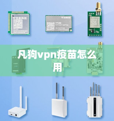 凡狗vpn疫苗怎么用