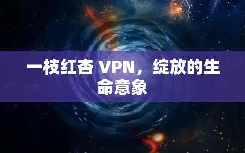 一枝红杏 VPN，绽放的生命意象