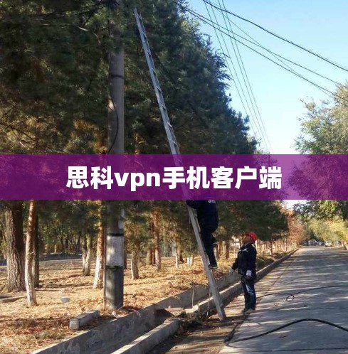 思科vpn手机客户端 思科vpn手机客户端