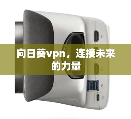 向日葵vpn，连接未来的力量