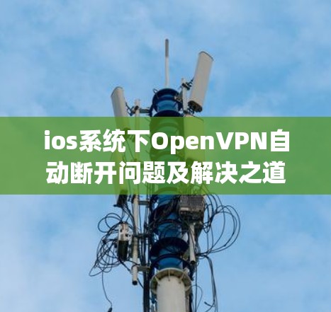 ios系统下OpenVPN自动断开问题及解决之道 ios系统下OpenVPN自动断开问题及解决之道