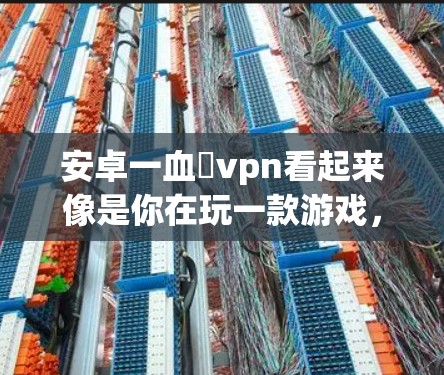 安卓一血卍vpn看起来像是你在玩一款游戏,并且想用一血版本来连接。如果这是一个游戏,那么一血可能指的是特定的版本,你可能想要用VPN来连接 安卓一血卍vpn看起来像是你在玩一款游戏,并且想用一血版本来连接。如果这是一个游戏,那么一血可能指的是特定的版本,你可能想要用VPN来连接