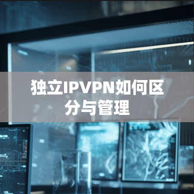 独立IPVPN如何区分与管理 独立IPVPN如何区分与管理