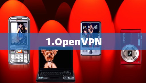 1.OpenVPN 1.OpenVPN