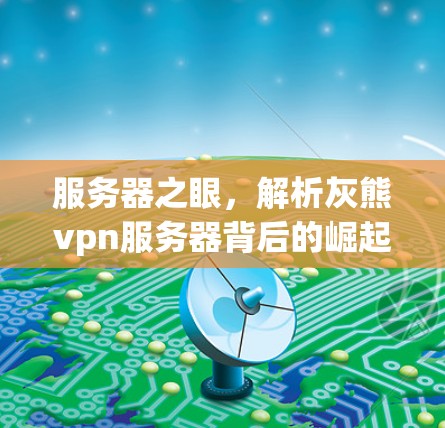 服务器之眼,解析灰熊vpn服务器背后的崛起 服务器之眼,解析灰熊vpn服务器背后的崛起