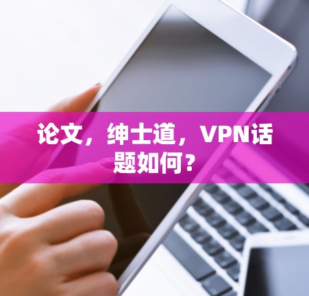 论文，绅士道，VPN话题如何？