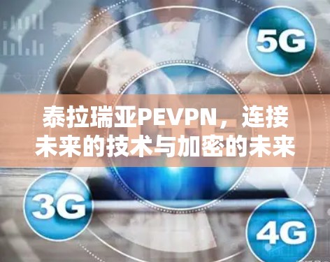 泰拉瑞亚PEVPN，连接未来的技术与加密的未来