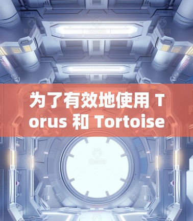 为了有效地使用 Torus 和 Tortoise 加速软件加速VPN服务器,您可以按照以下步骤进行 为了有效地使用 Torus 和 Tortoise 加速软件加速VPN服务器,您可以按照以下步骤进行
