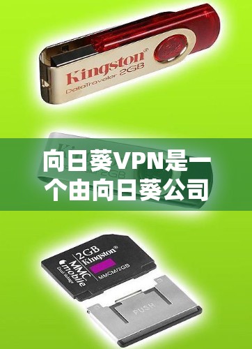 向日葵VPN是一个由向日葵公司提供的VPN服务，旨在保护用户的数据安全和隐私。以下是对该服务的详细分析