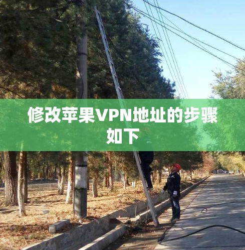 修改苹果VPN地址的步骤如下