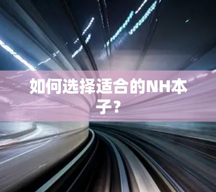 如何选择适合的NH本子? 如何选择适合的NH本子?