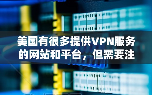 美国有很多提供VPN服务的网站和平台，但需要注意的是，选择合法且可靠的来源是最重要的。以下是一些主要的美国VPN服务网站和平台