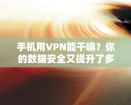 手机用VPN能干嘛？你的数据安全又提升了多少？