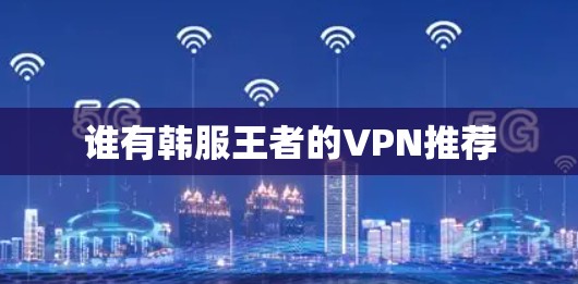 谁有韩服王者的VPN推荐 谁有韩服王者的VPN推荐