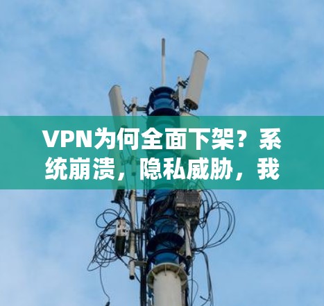 VPN为何全面下架?系统崩溃,隐私威胁,我们该如何保护 VPN为何全面下架?系统崩溃,隐私威胁,我们该如何保护