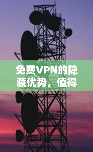 免费VPN的隐藏优势，值得尝试的付费VPN