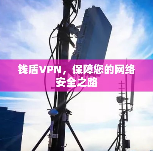 钱盾VPN，保障您的网络安全之路