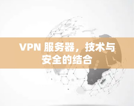 VPN 服务器，技术与安全的结合