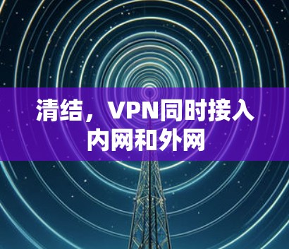 清结，VPN同时接入内网和外网