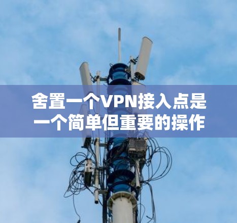 舍置一个VPN接入点是一个简单但重要的操作，以下是详细的步骤指南