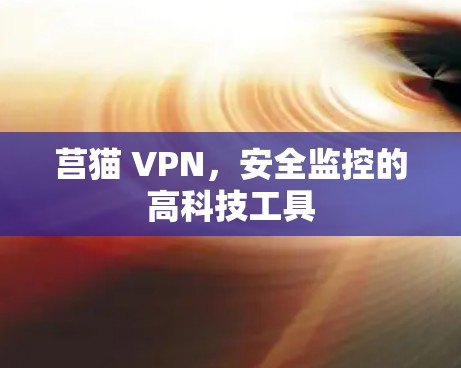 莒猫 VPN,安全监控的高科技工具 莒猫 VPN,安全监控的高科技工具