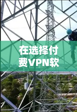 在选择付费VPN软件时，以下是一些关键点和推荐