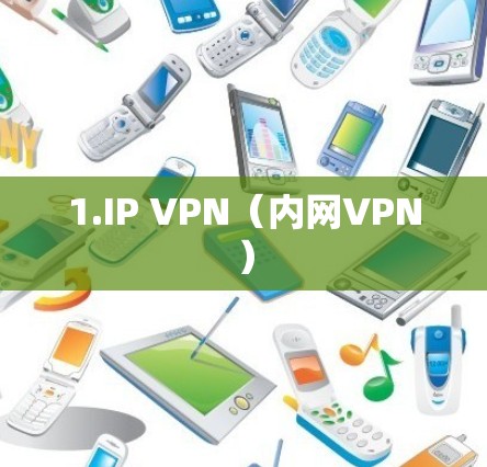 1.IP VPN（内网VPN）