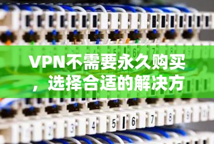 VPN不需要永久购买，选择合适的解决方案