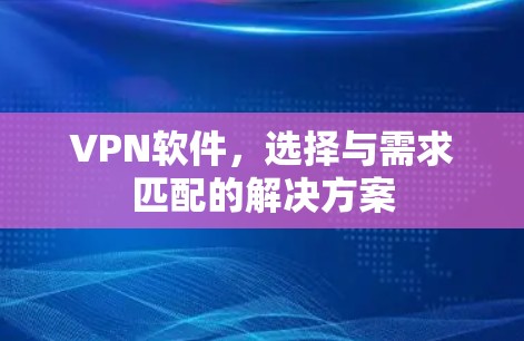 VPN软件,选择与需求匹配的解决方案 VPN软件,选择与需求匹配的解决方案