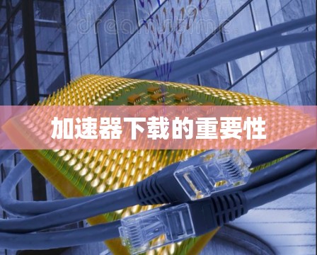 加速器下载的重要性