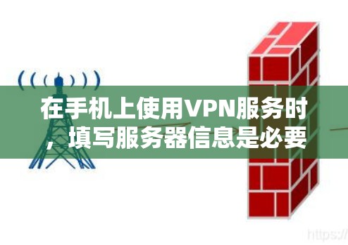 在手机上使用VPN服务时，填写服务器信息是必要的，但具体的步骤可能会因应用和设备类型而异。以下是一般性的步骤，供您参考