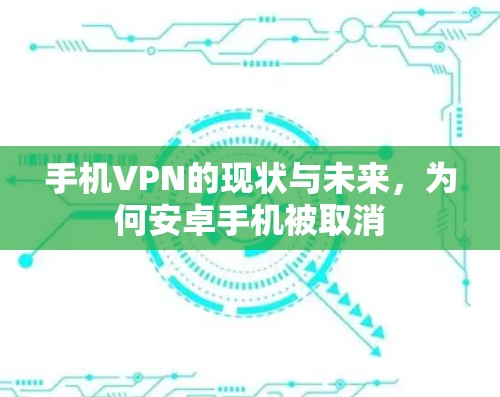 手机VPN的现状与未来,为何安卓手机被取消 手机VPN的现状与未来,为何安卓手机被取消