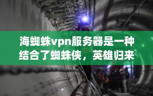 海蜘蛛vpn服务器是一种结合了蜘蛛侠，英雄归来游戏和VPN技术的生态系统，旨在提供在线游戏和资源管理功能。以下是关于如何构建和使用海蜘蛛vpn服务器的详细步骤