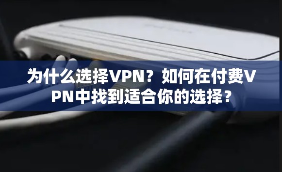 为什么选择VPN?如何在付费VPN中找到适合你的选择? 为什么选择VPN?如何在付费VPN中找到适合你的选择?