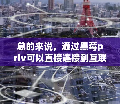 总的来说，通过黑莓priv可以直接连接到互联网，进行VPN操作。如果需要更强大的隐私保护，可以选择使用第三方VPN软件