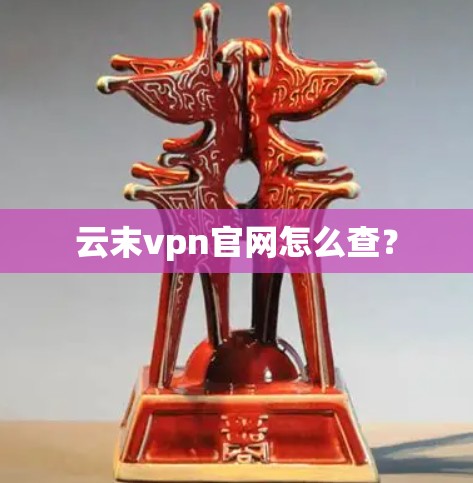 云末vpn官网怎么查？
