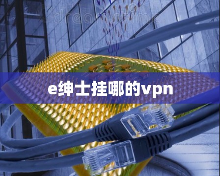 e绅士挂哪的vpn