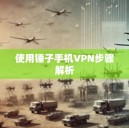 使用锤子手机VPN步骤解析