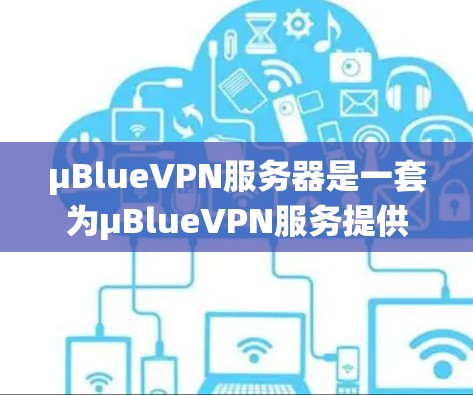 μBlueVPN服务器是一套为μBlueVPN服务提供服务器功能的系统，主要负责服务器端设备管理、流量控制和安全机制。以下是对该服务的详细分析